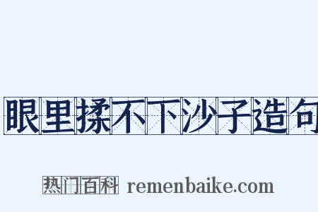 眼里揉不下沙子造句是什么意思的图片